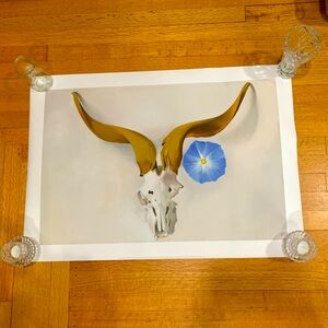 Georgia O’Keefe Ram’s Head Blue Morning Glory 1938 30x19.8” (Creased)